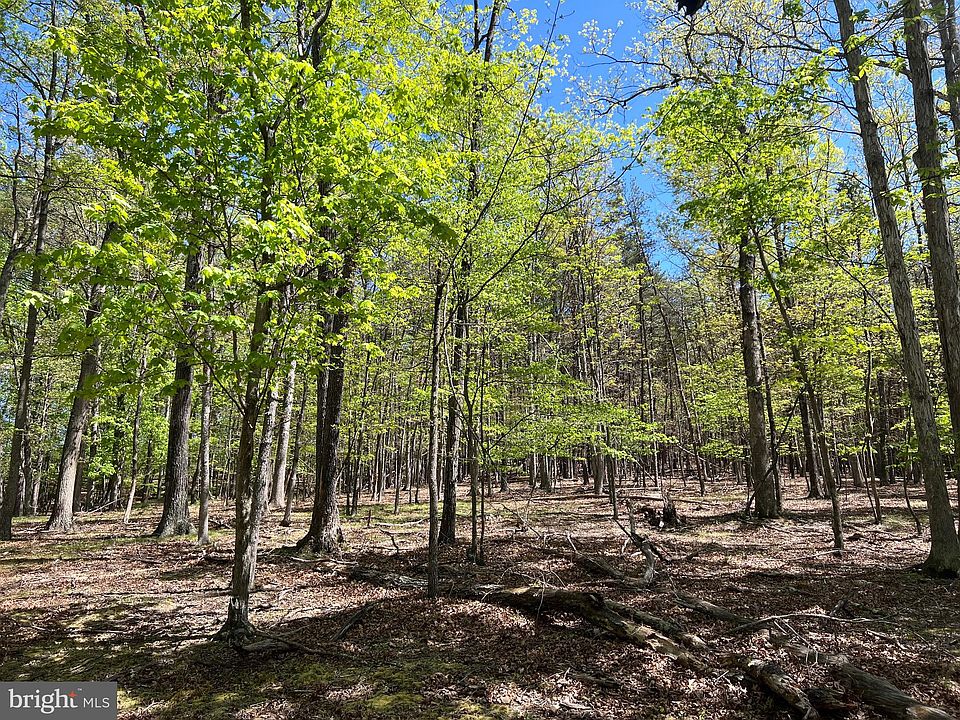 Holly Hill Ln, Berkeley Springs, WV 25411 Zillow