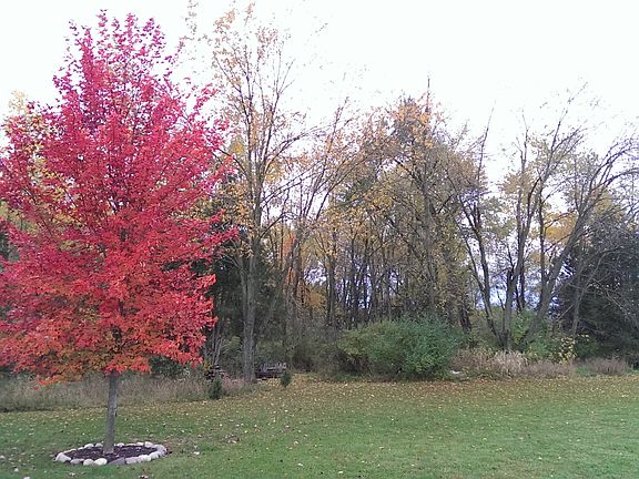 2nd image of 4865 Thornbird Dr