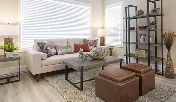 30 El Tassi Dr — Photo 60