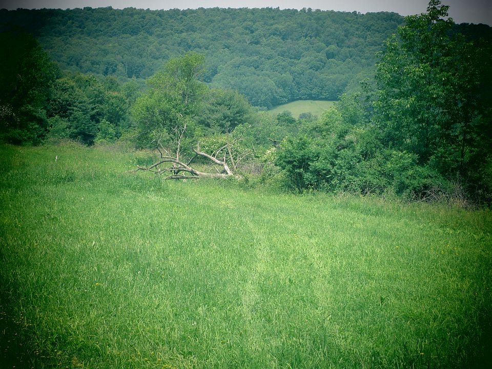 1st image of 1040 Wagner Road