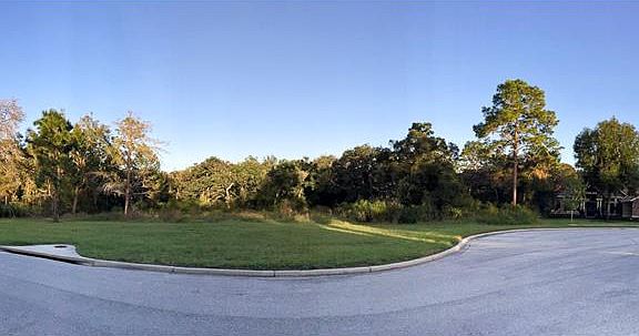 5th image of 8731 Shimmering Pine Pl
