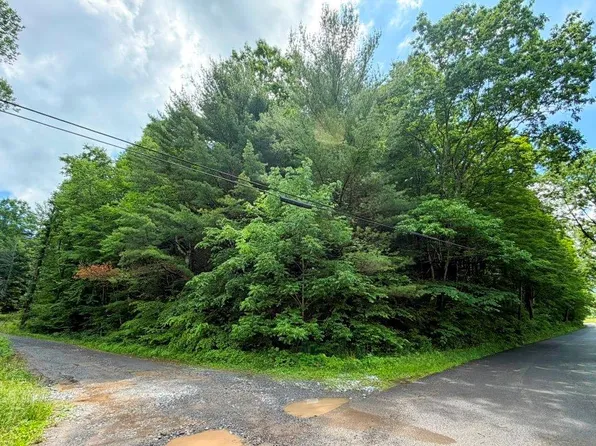 Doubletree Dr, Chilhowie, VA 24319
