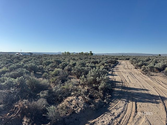 1st image of Bark Loop