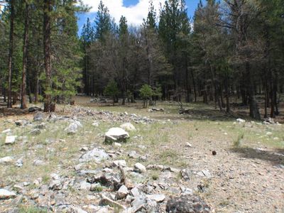 55 Antelope Rd, Taylorsville, CA, 95983