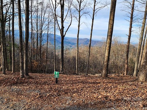 2nd image of LOT 90 Wilderness Creek Way