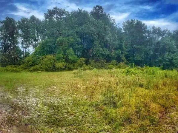 Tbd Pee Dee Church Rd, Dillon, SC 29536