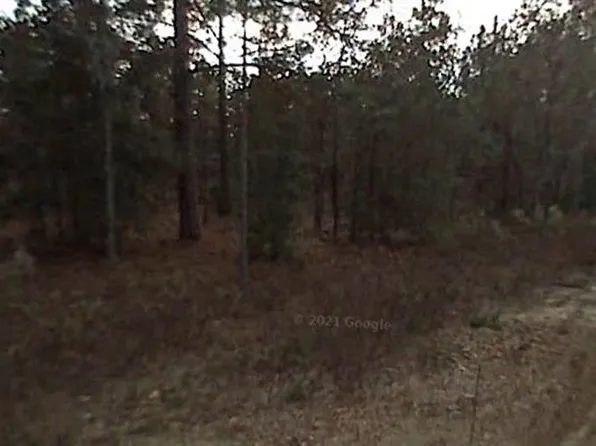 SW 38TH PLACE LOT 9, OCALA, FL 34481