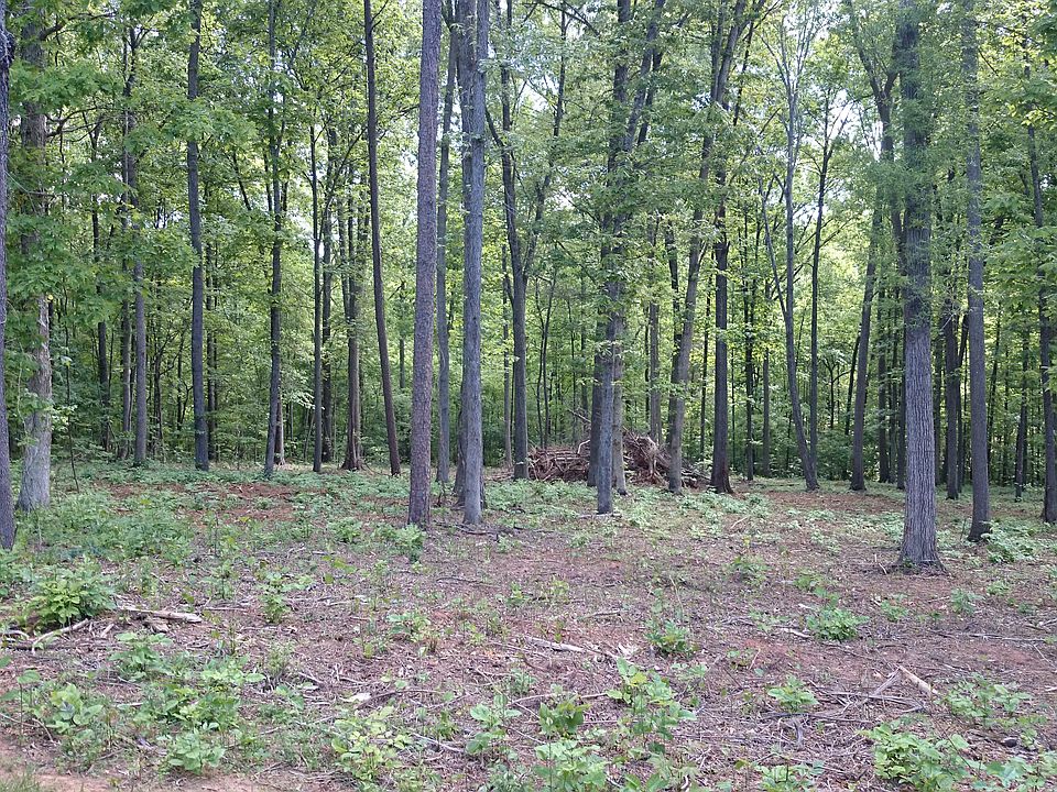 1st image of 910 Bellingshire Dr