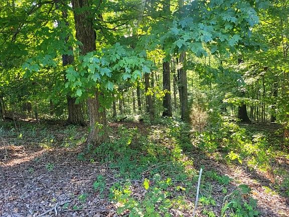 4th image of 0 Scenic Dr Lot 43