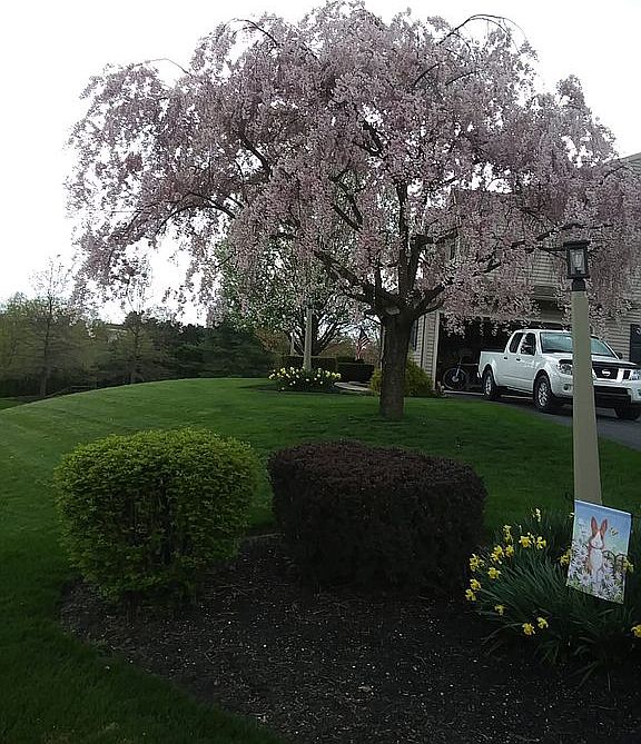 1st image of 12 Hallmark Dr