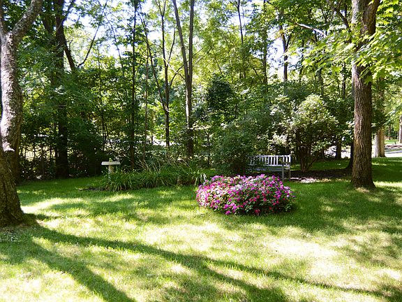 Side yard