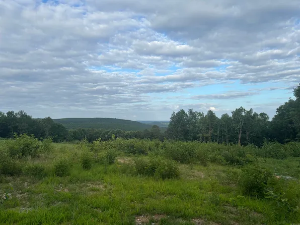 2095 Dry Mountain Rd, Drasco, AR 72530
