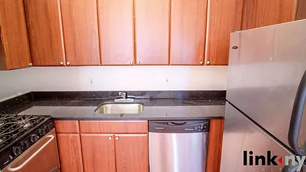 Rented by Link NY Realty