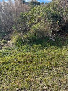 6 Rosepetal Ln, Palm Coast, FL, 32164