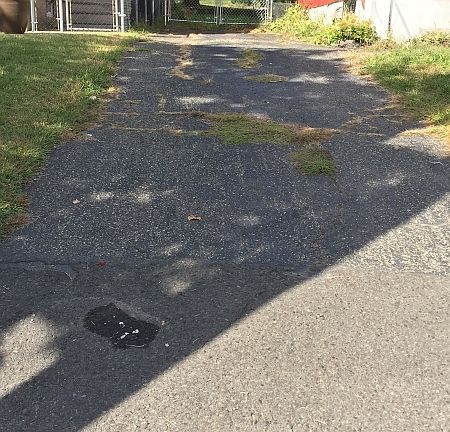 5th image of 647 Schuyler Ave