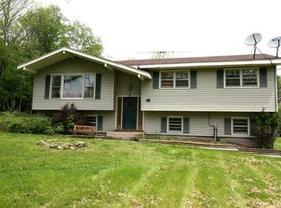 92 Jim Stephenson Rd, Swan Lake, NY 12783