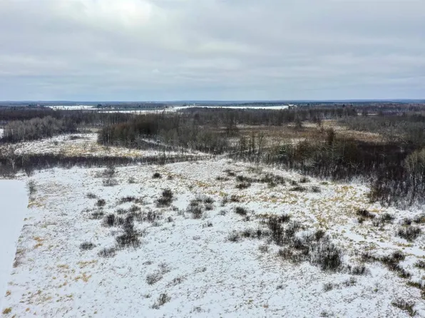 +/-23 Acres TOWER AVENUE, Medford, WI 54451