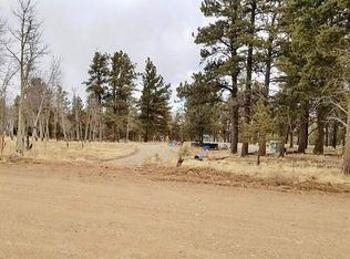 714 Hayhook Way, Hartsel, CO 80449