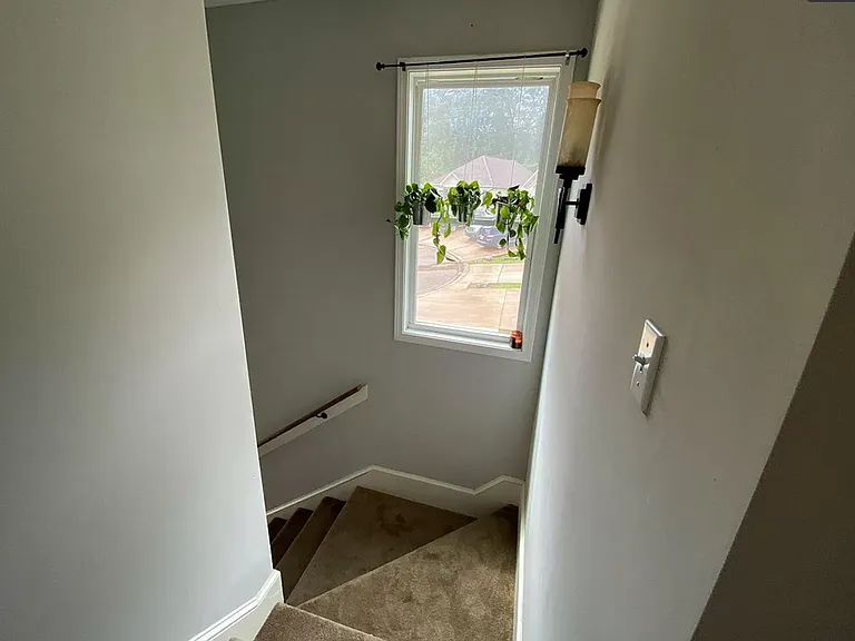 402 Shady Park Cv — Photo 11