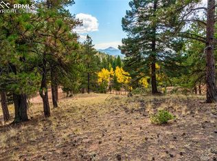 2288 N Mountain Estates Rd, Florissant, CO 80816