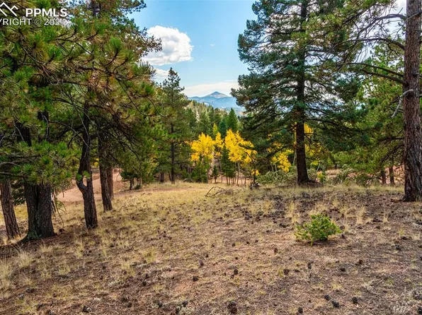 2288 N Mountain Estates Rd, Florissant, CO 80816