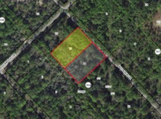 11728 W Flaxen Dr, Crystal River, FL 34428
