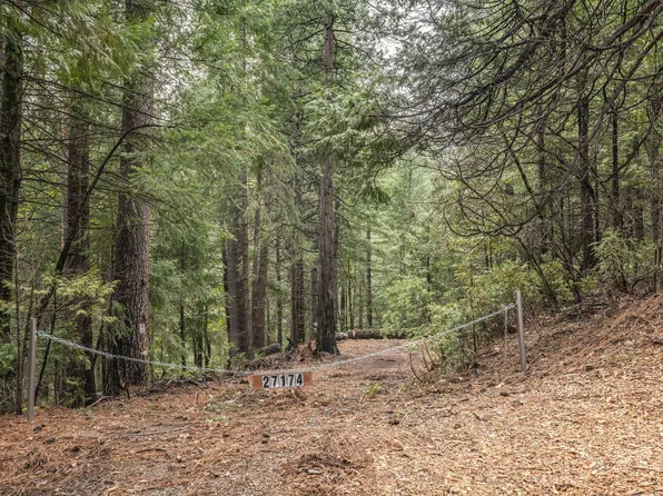 27174 Columbia Dr, Pioneer, CA 95666