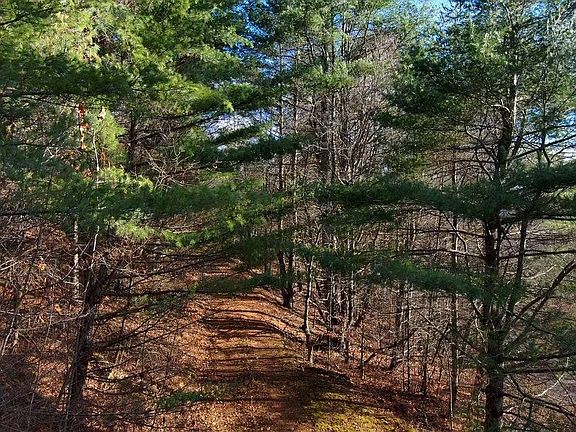 2nd image of L-12 Rebel Ridge Rd