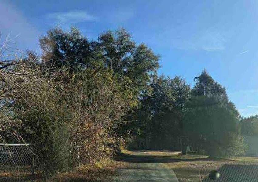 2nd image of 516 Phoebe Ct