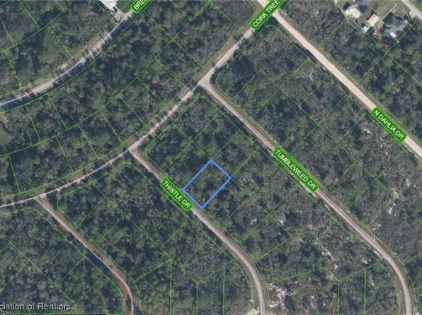 3229 Thistle Dr, Lake Placid, FL 33852