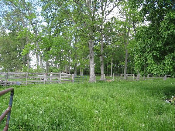 Back field
