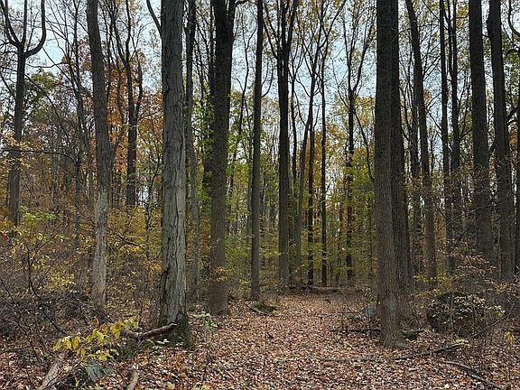 3rd image of 0 Reed Ln