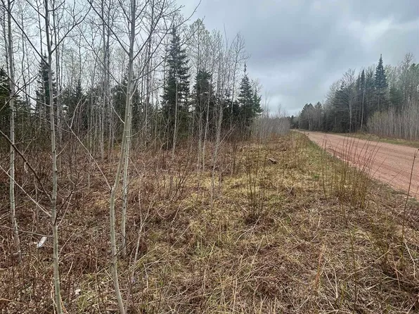 3 S Iron Pin Trl, Gwinn, MI 49841