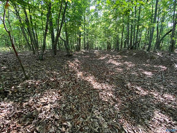 2nd image of County Road 216