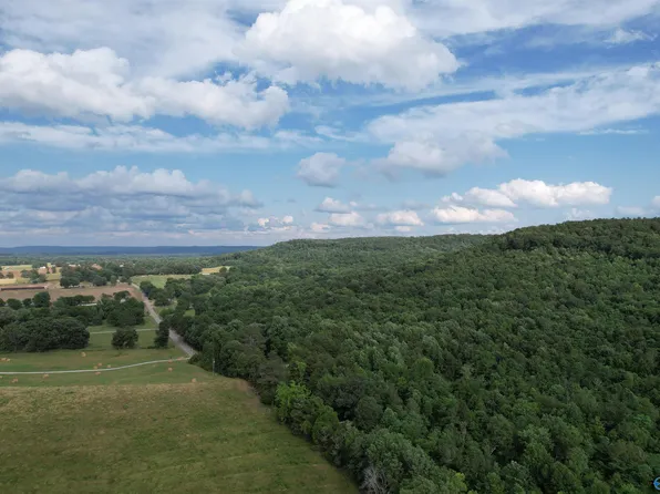563 A County Rd #23, Mount Hope, AL 35651