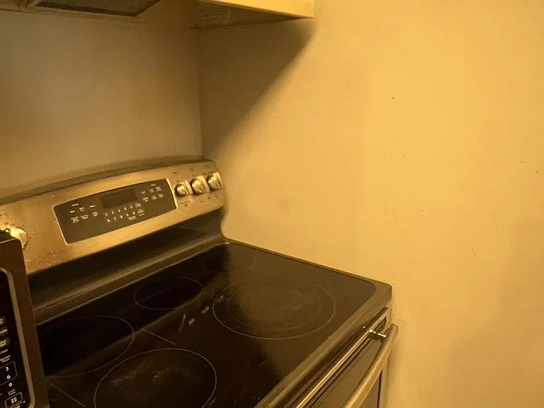 1315 Ravens Crest Dr — Photo 11