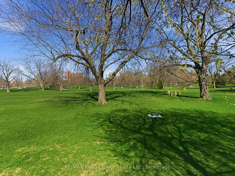 163 Nassau St — Photo 39