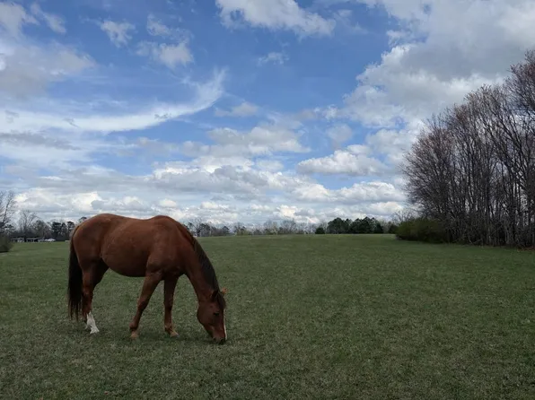 0 Alabama Hwy #71, Flat Rock, AL 35966