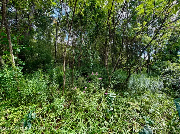 Stock St, Nesquehoning, PA 18240