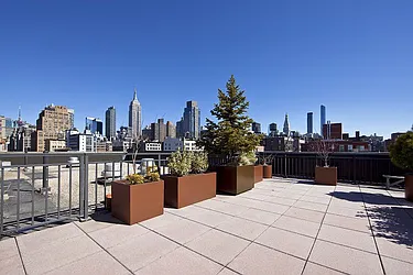 Rented by Bold New York