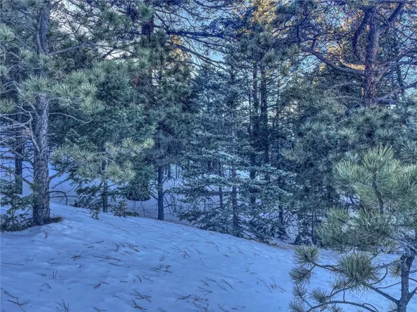 1174 Monarch Drive, Other, CO 80813