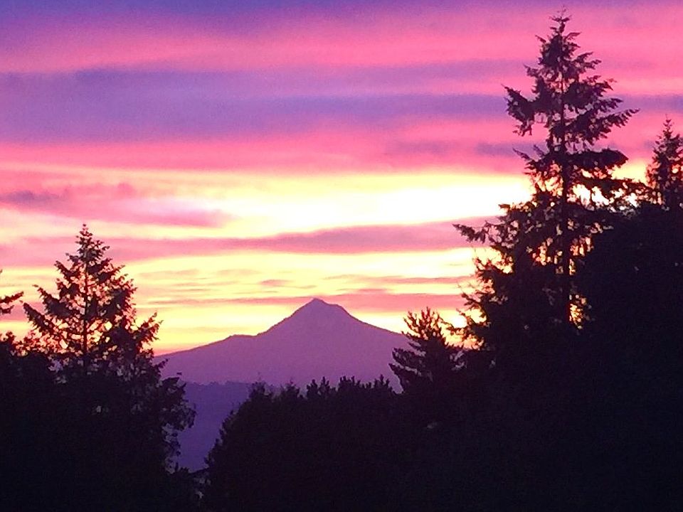 Mt Hood View from back