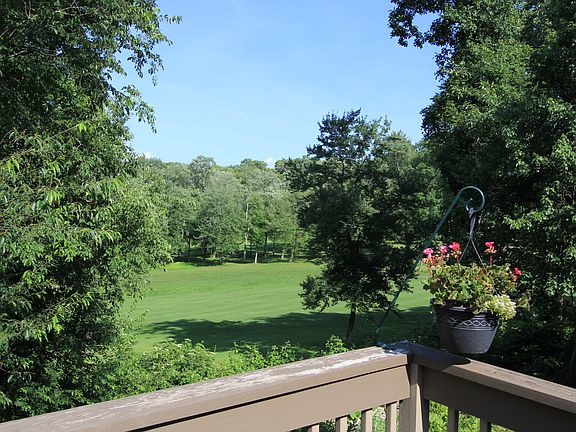 Summer view off the deck