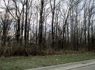 Vacant Lange Ave, Romulus, MI