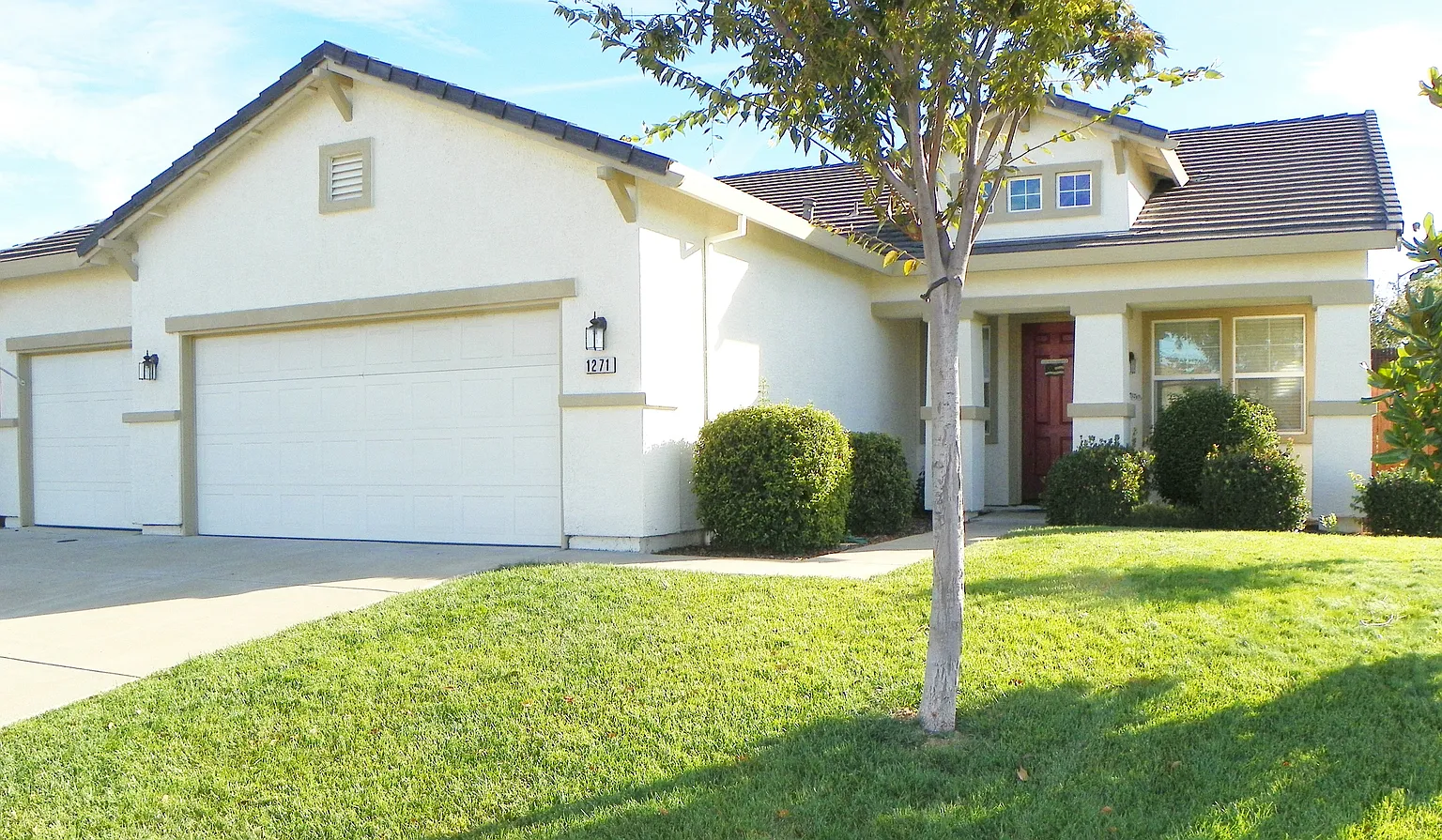 1271 Red Leaf Way photo 1
