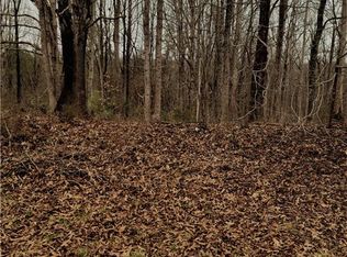 367 Cabin Creek Dr #6566-49, Denton, NC 27239