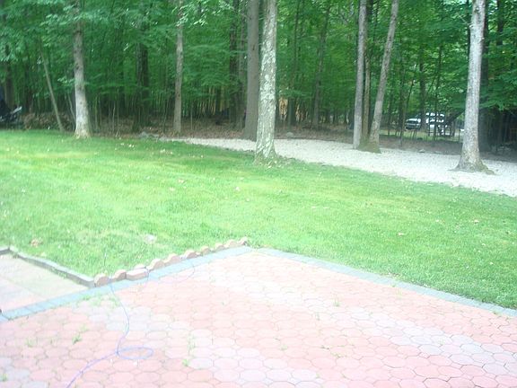 Patio/Backyard