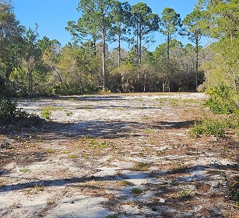 2nd image of 2003 Lighthouse Rd