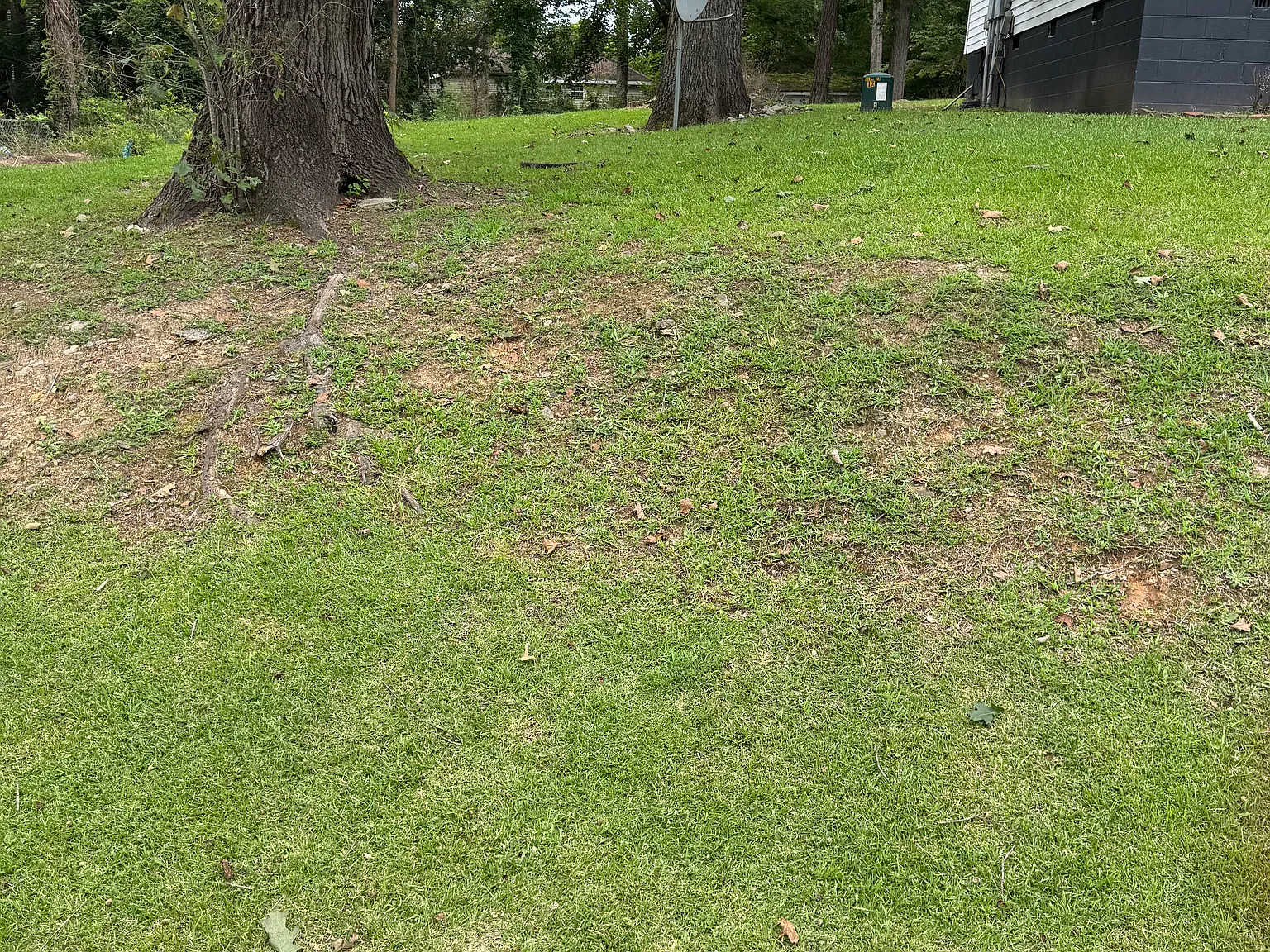 2 bed, 800 sqft, $1,200 — Photo 3