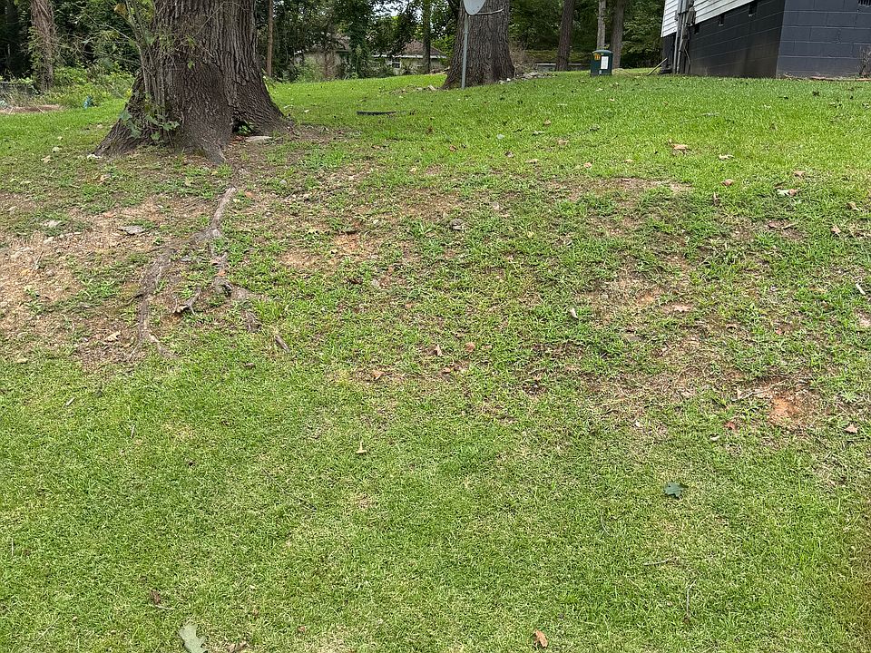 Side yard view